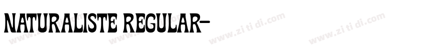 Naturaliste Regular字体转换